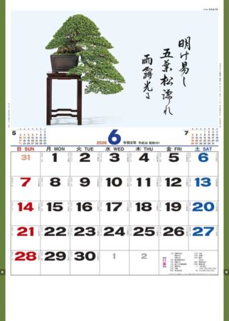 盆栽逸品集-6