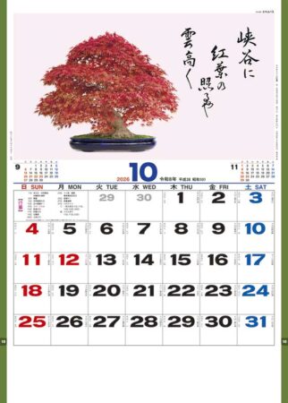 盆栽逸品集-10