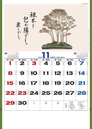 盆栽逸品集-11