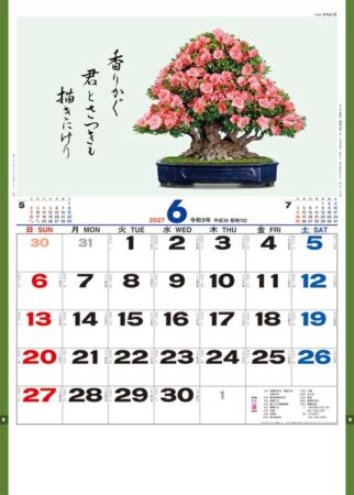 盆栽逸品集/6月