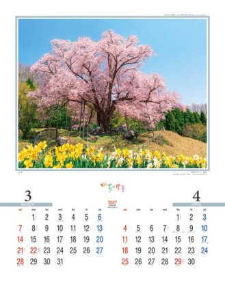 四季の情景/3月4月