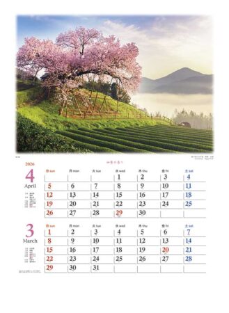四季の香り(2ヶ月ミシン入り)-2