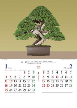 日本のこころ(盆栽)/1月2月