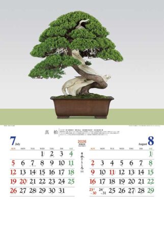 日本のこころ(盆栽)-4