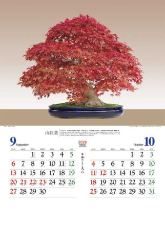 日本のこころ(盆栽)-5