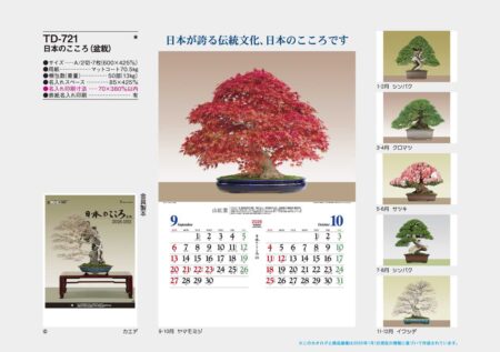 日本のこころ(盆栽)-7