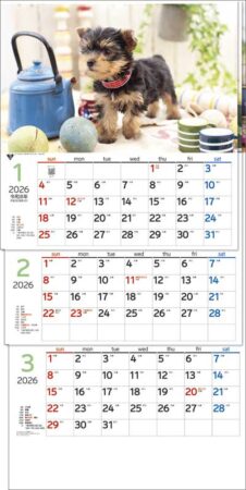 ワンニャン３ヶ月（日付マーカー付）-上から順タイプ-/1月2月3月