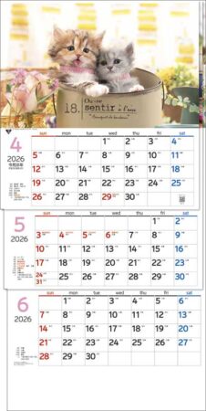 ワンニャン３ヶ月（日付マーカー付）-上から順タイプ--2