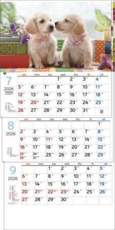 ワンニャン３ヶ月（日付マーカー付）-上から順タイプ--3