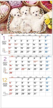 ワンニャン３ヶ月（日付マーカー付）-上から順タイプ--5