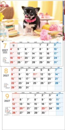 ワンニャン3ヶ月(日付マーカー付)-上から順タイプ-/7月8月9月