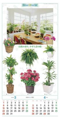 観葉植物-2