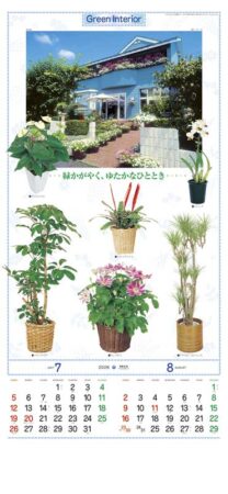 観葉植物-4