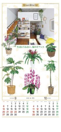 観葉植物-5
