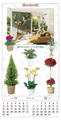 観葉植物-6