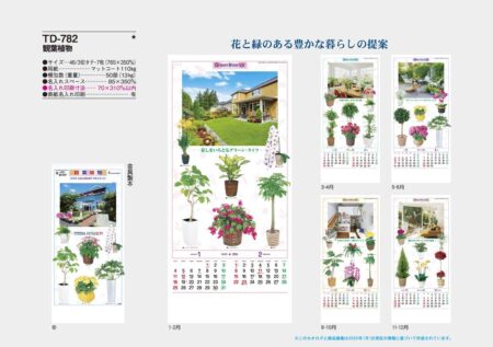 観葉植物-7