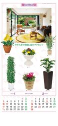 観葉植物