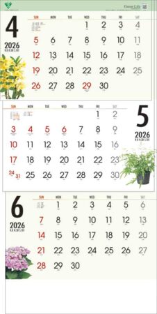 緑のくらし3ヶ月（日付マーカー付）−上から順タイプ−-2