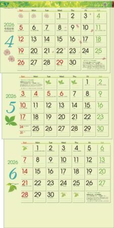 グリーン3ヶ月eco（日付マーカー付）-上から順タイプ--2