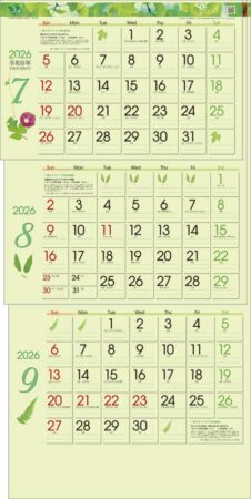 グリーン3ヶ月eco（日付マーカー付）-上から順タイプ--3