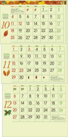 グリーン3ヶ月eco（日付マーカー付）-上から順タイプ--4