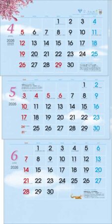 空いろ3ヶ月eco（日付マーカー付）-上から順タイプ--2
