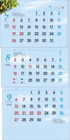 空いろ3ヶ月eco（日付マーカー付）-上から順タイプ--3
