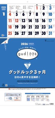 グッドルック3ヶ月（日付マーカー付）-上から順タイプ-