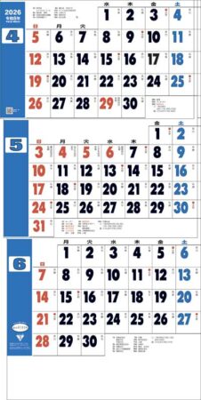 グッドルック3ヶ月（日付マーカー付）-上から順タイプ--2