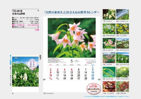 日本の山野草/カタログ