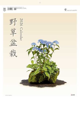 野草盆栽