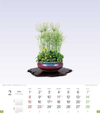 野草盆栽-2