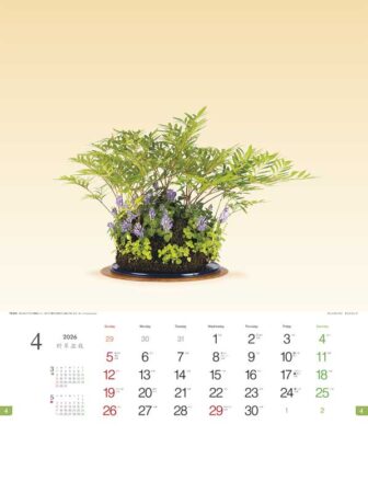 野草盆栽-4