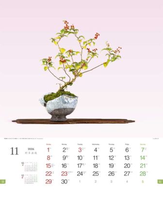 野草盆栽-11