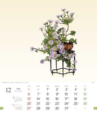 野草盆栽-12