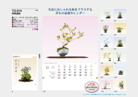 野草盆栽-13