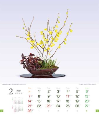 野草盆栽/2月