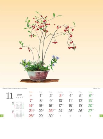 野草盆栽/11月