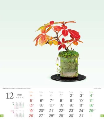 野草盆栽/12月