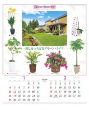 観葉植物と暮し