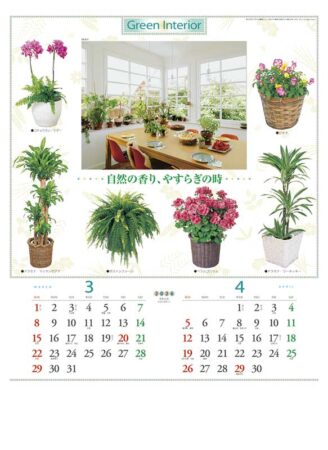 観葉植物と暮し-2