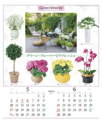 観葉植物と暮し-3