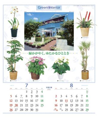 観葉植物と暮し-4