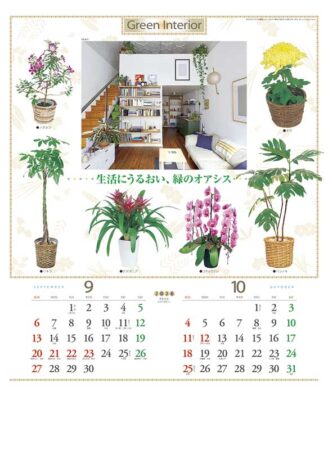 観葉植物と暮し-5