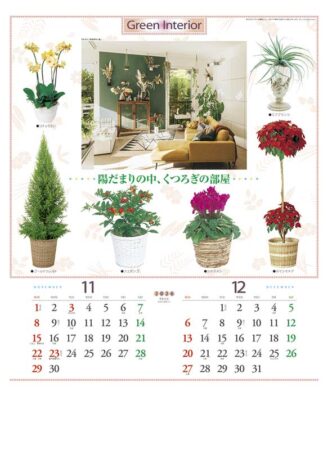 観葉植物と暮し-6
