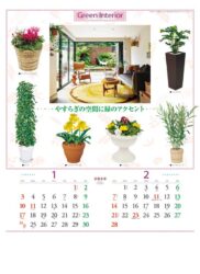 観葉植物と暮し