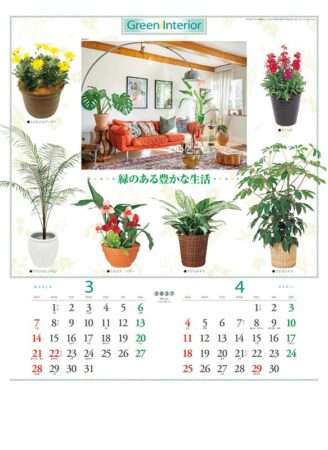 観葉植物と暮し/3月4月