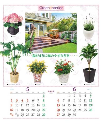 観葉植物と暮し/5月6月
