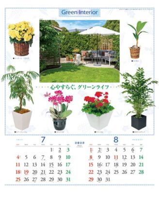 観葉植物と暮し/7月8月