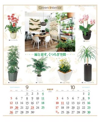 観葉植物と暮し/9月10月
